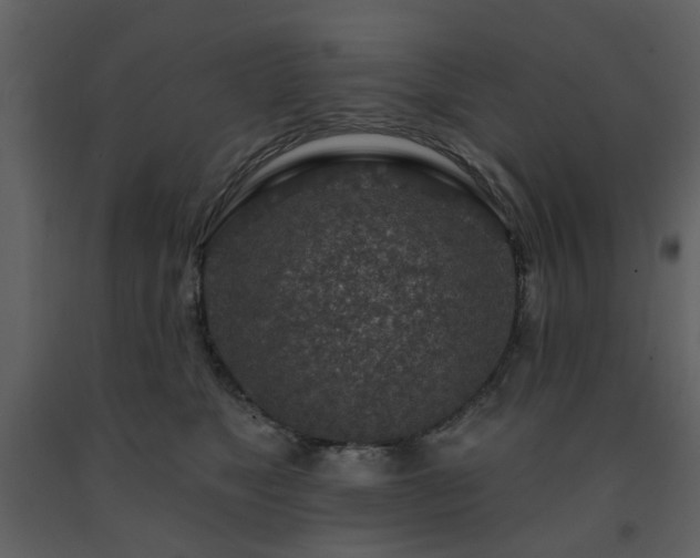 X0000091720517200708241352