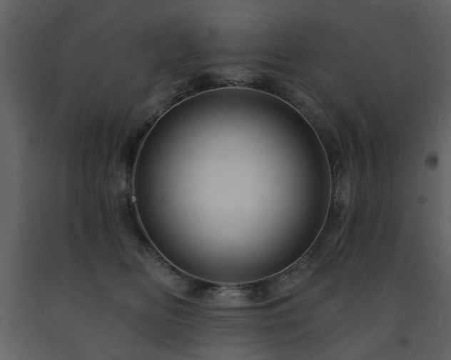 X0000091720518200708241352