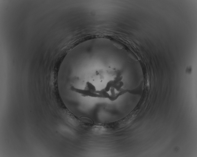 X0000091720519200708241352