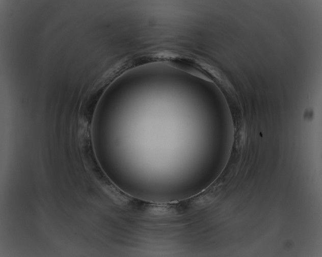 X0000091720521200708241352