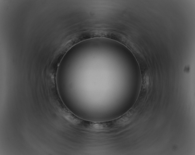 X0000091720522200708241352