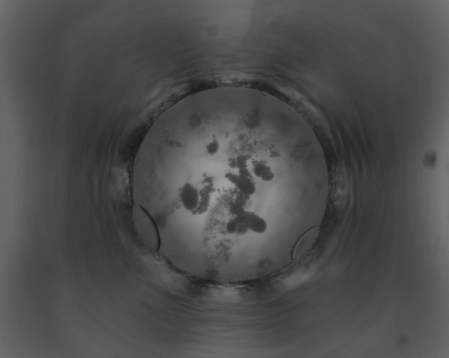 X0000091720523200708241352
