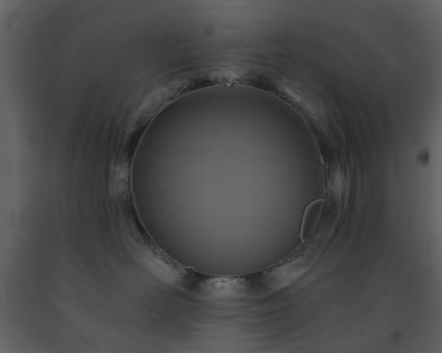 X0000091720526200708241352