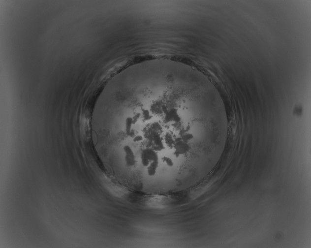 X0000091720527200708241352