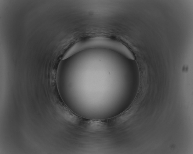 X0000091720528200708241352