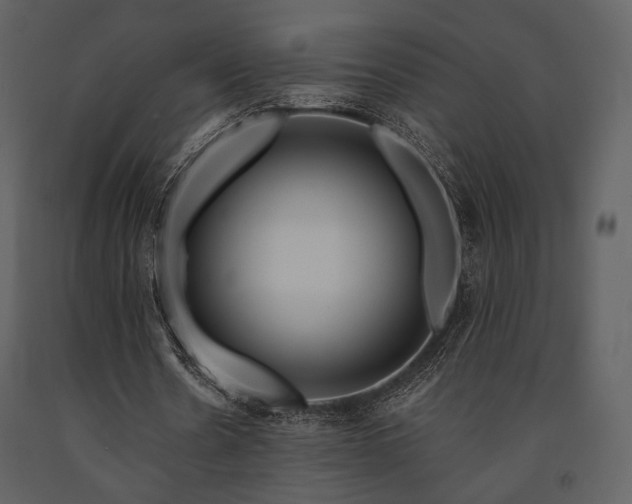 X0000091720530200708241351