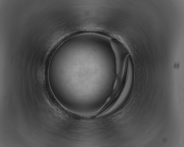 X0000091720531200708241351