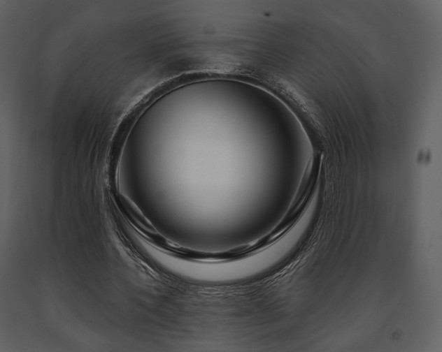 X0000091720532200708241351