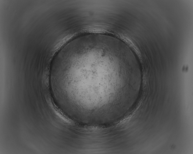 X0000091720533200708241351