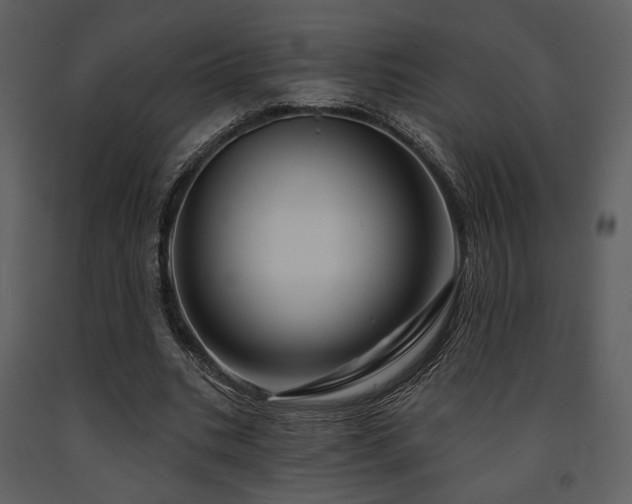 X0000091720535200708241351