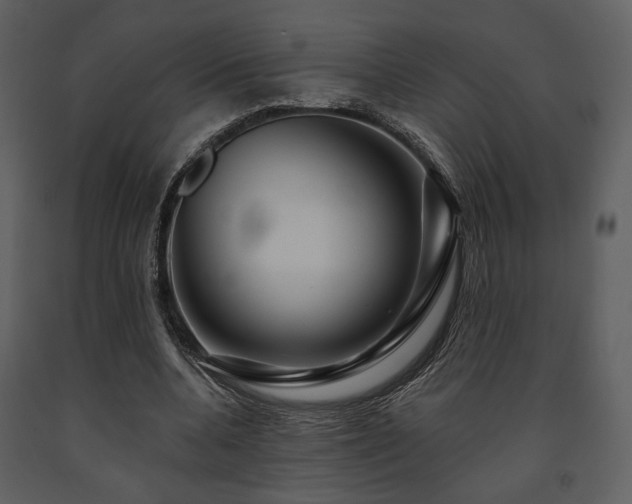 X0000091720536200708241351