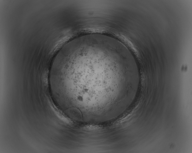 X0000091720537200708241351