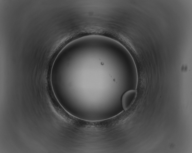 X0000091720538200708241351