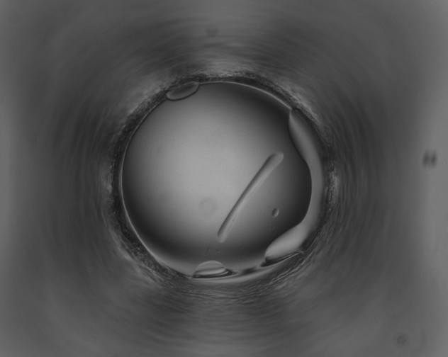 X0000091720539200708241351