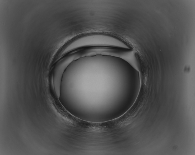 X0000091720540200708241351