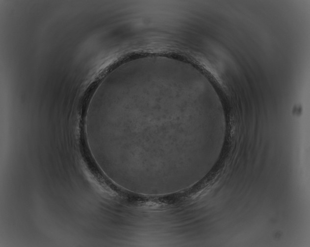 X0000091720542200708241352