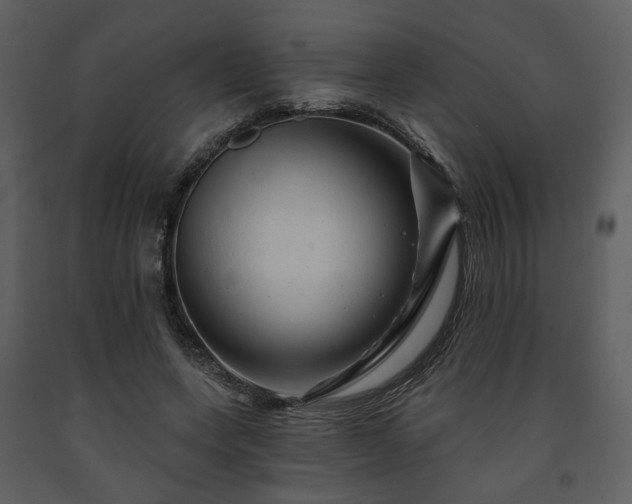 X0000091720543200708241352
