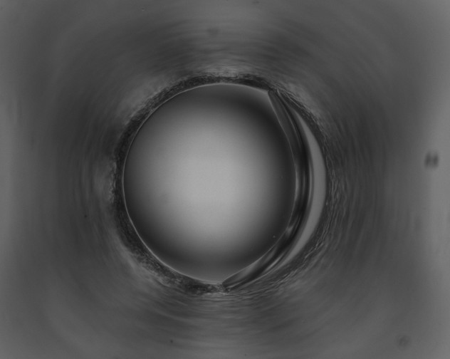 X0000091720544200708241352