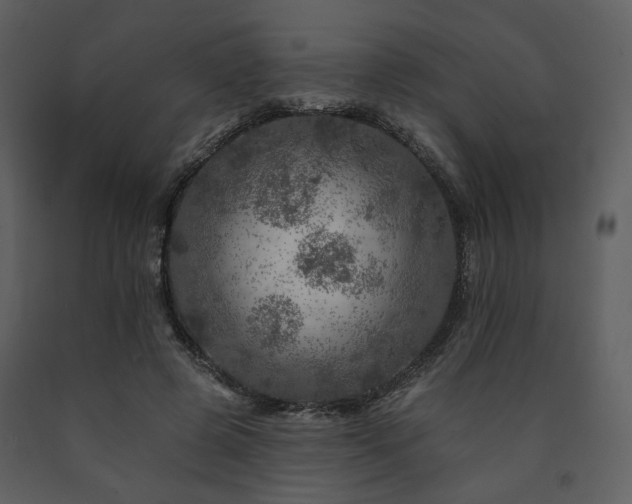 X0000091720545200708241352
