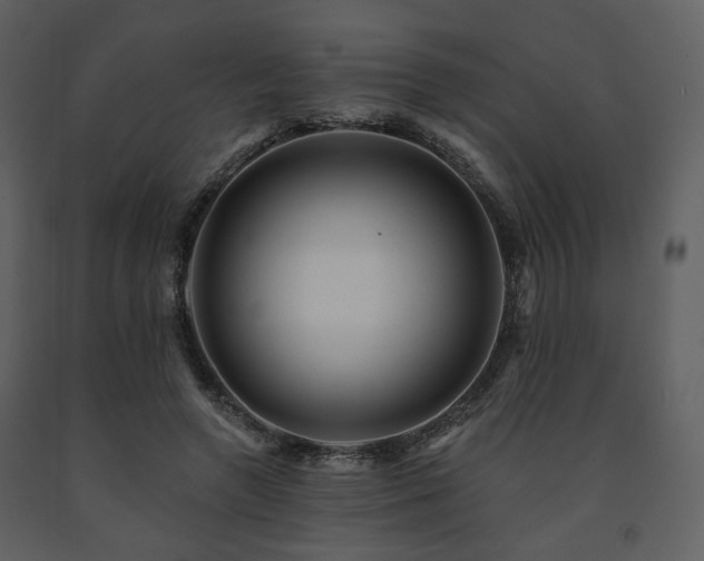 X0000091720546200708241352