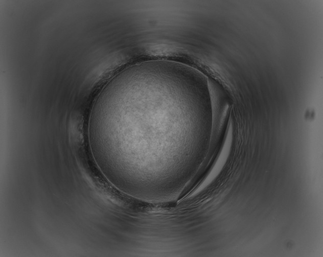 X0000091720547200708241352