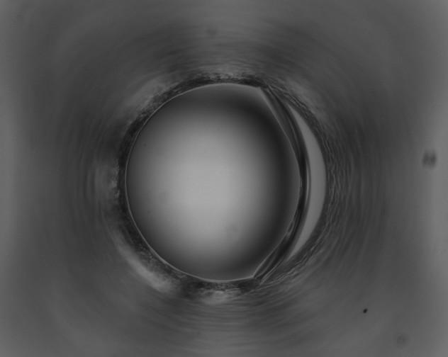 X0000091720548200708241352