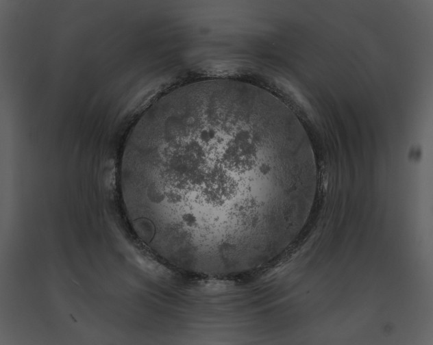 X0000091720549200708241352