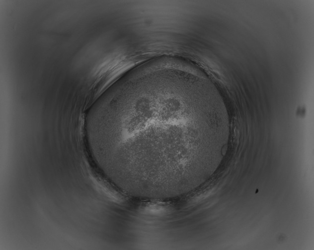 X0000091720550200708241352
