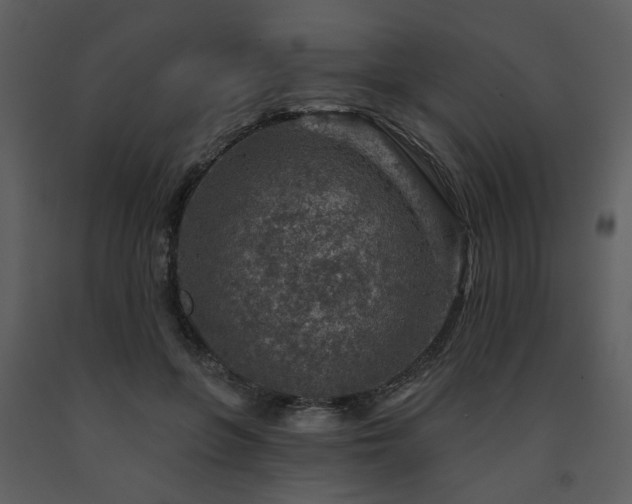 X0000091720551200708241352