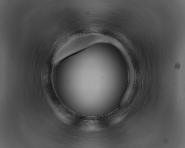 X0000091720552200708241352