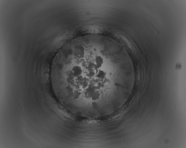 X0000091720553200708241352