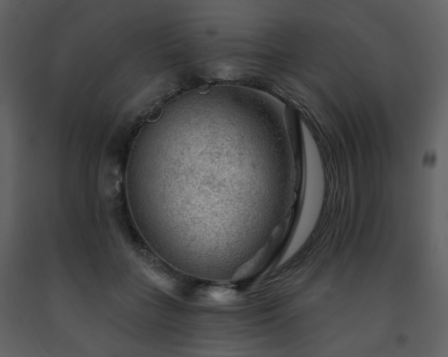 X0000091720555200708241352