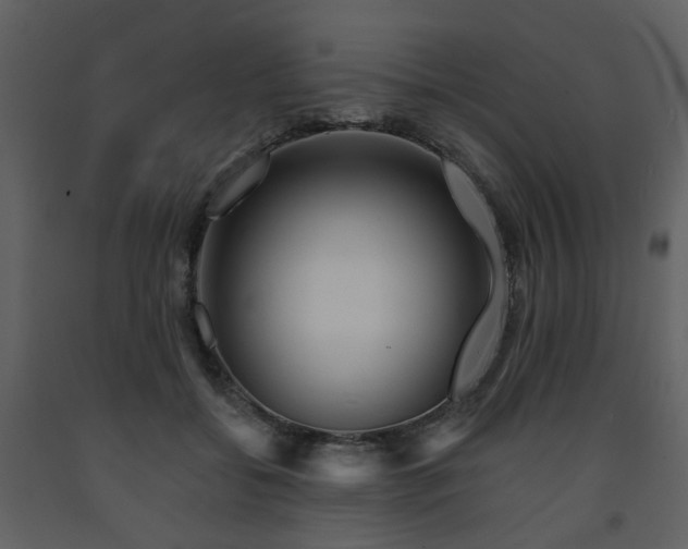 X0000091720556200708241352