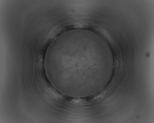 X0000091720557200708241352