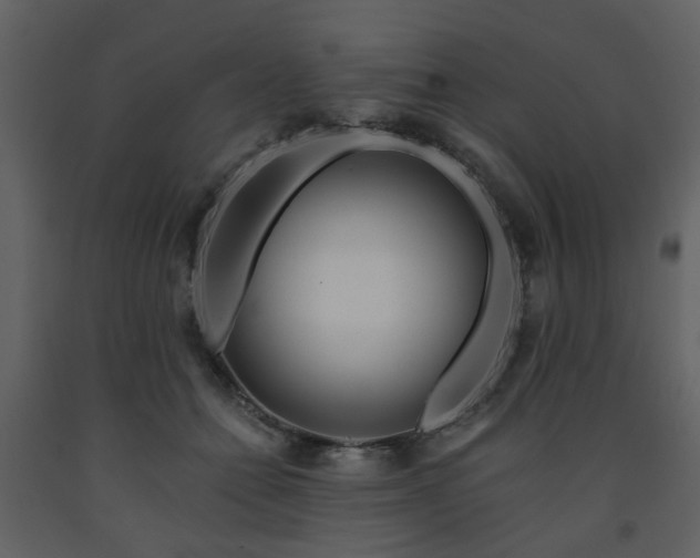 X0000091720558200708241352