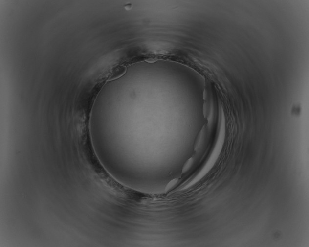 X0000091720559200708241352