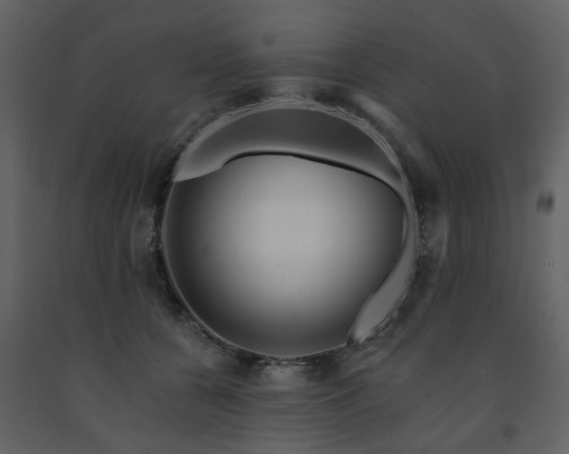 X0000091720560200708241352