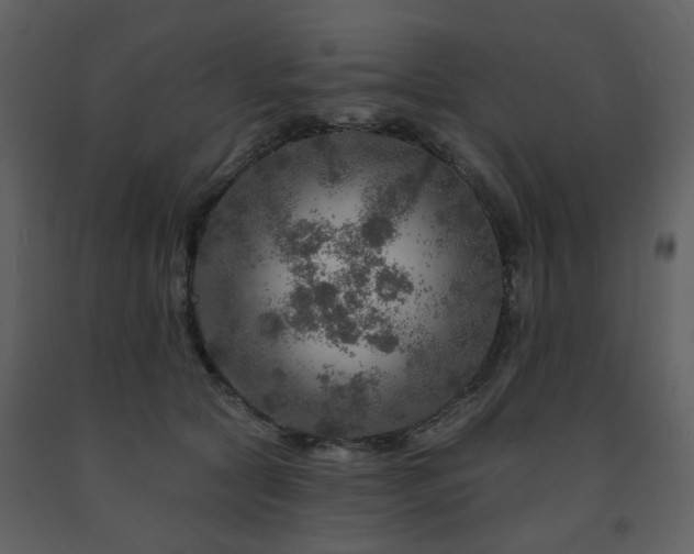 X0000091720561200708241352