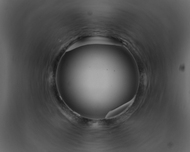 X0000091720564200708241352