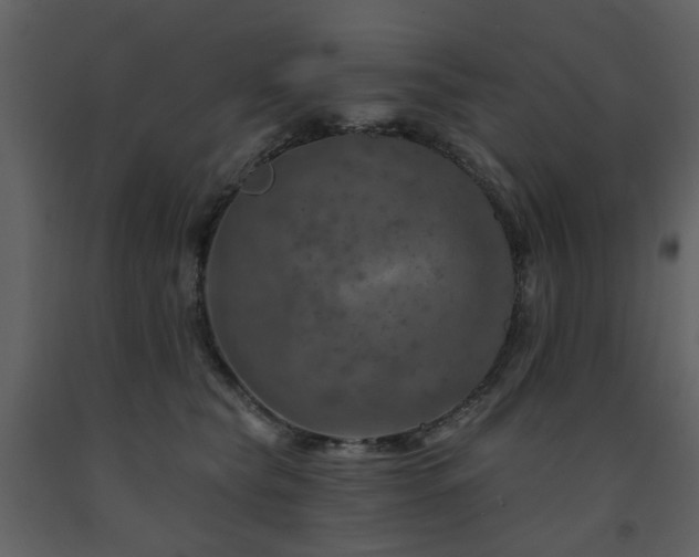 X0000091720565200708241352