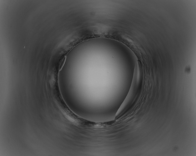 X0000091720566200708241352