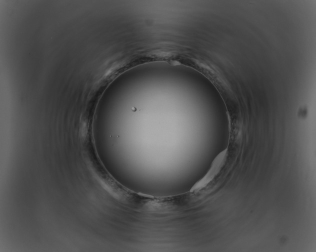 X0000091720568200708241352