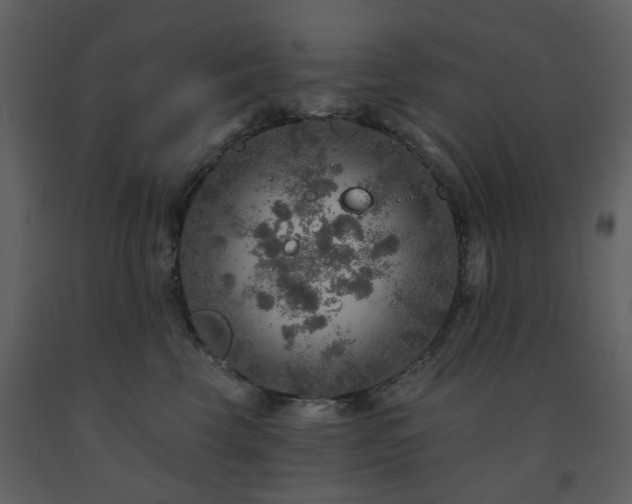 X0000091720569200708241352