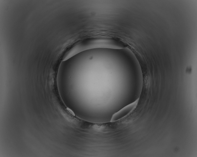 X0000091720570200708241352