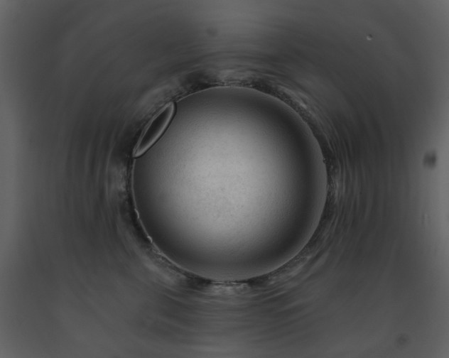 X0000091720571200708241352