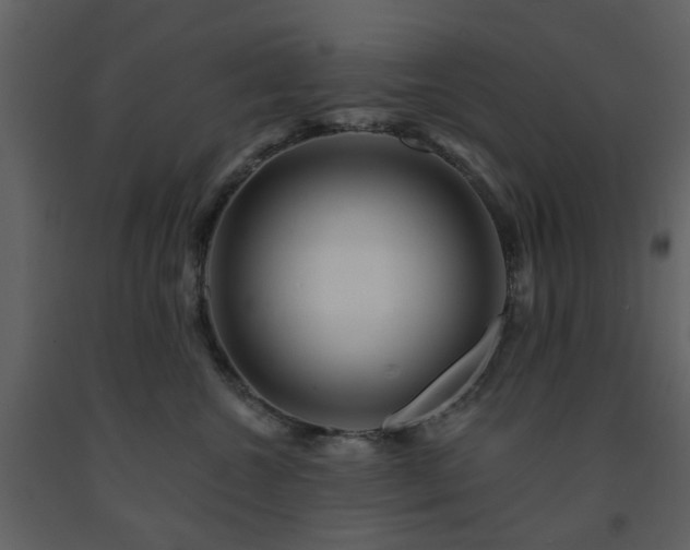 X0000091720572200708241352