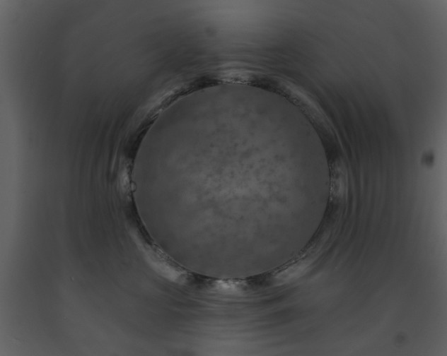 X0000091720573200708241352