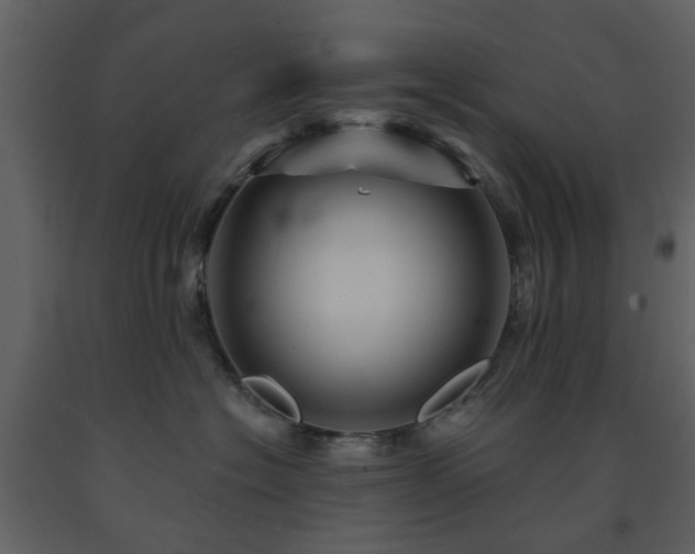 X0000091720574200708241352
