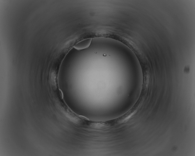 X0000091720575200708241352