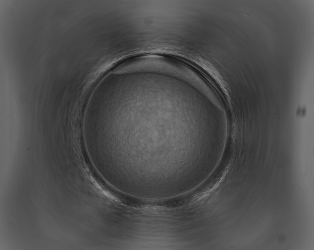 X0000091720577200708241351